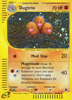 Dugtrio, Expedition Base Set 10